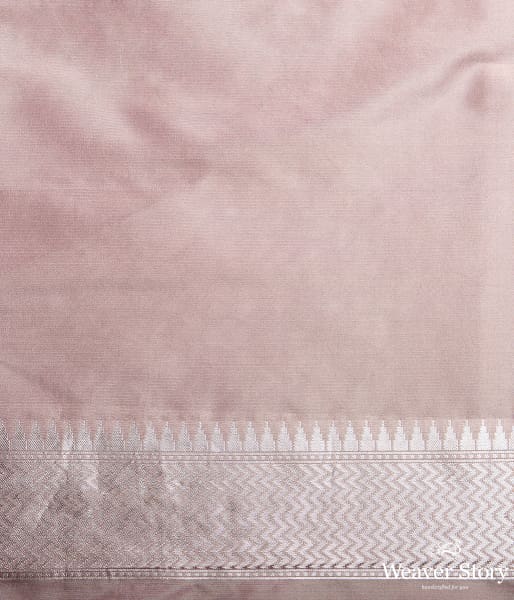 Taupe Handwoven Banarasi with Gold and Silver Zari Jaal
