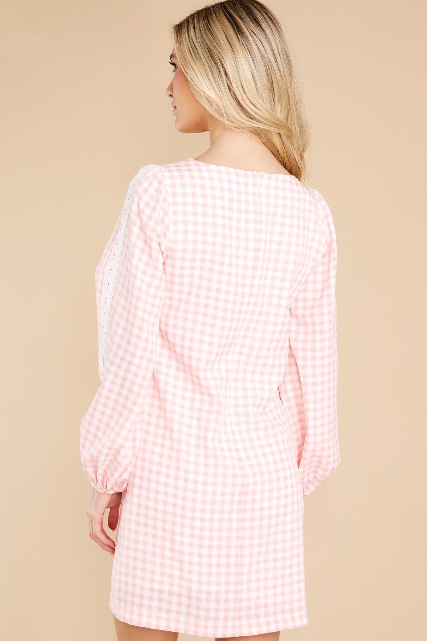 Carefreely Content Pink Gingham Mini Dress