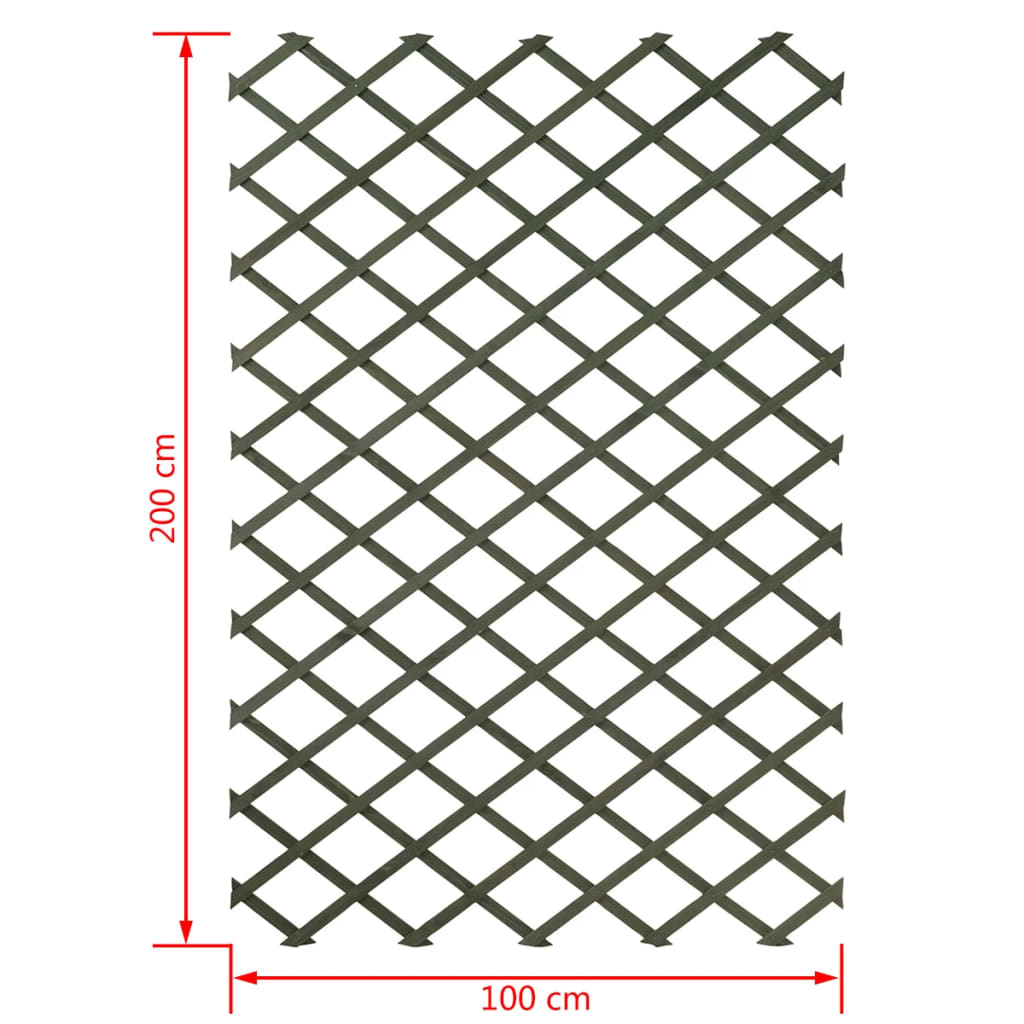 Garten-Rankgitter 100x200 cm Holz Grün 6041704