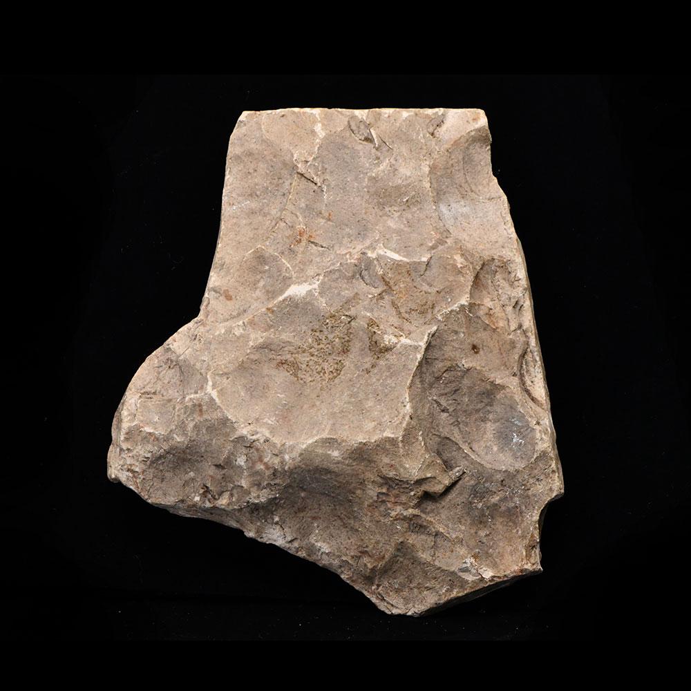 An Egyptian Limestone Relief Fragment, Late Period, ca. 664 - 332 BCE