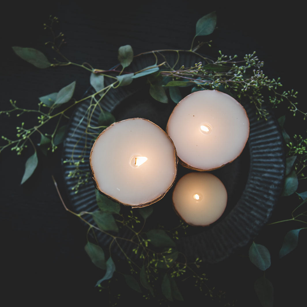 Birchwood Scented Pillar Candle in Various Sizes