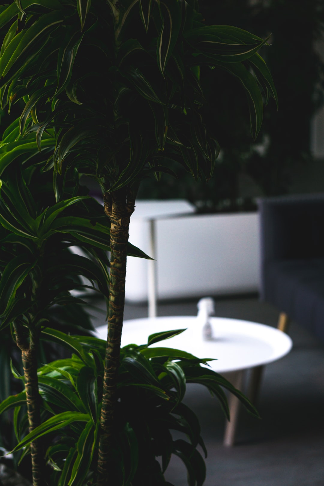 Germane Riposte