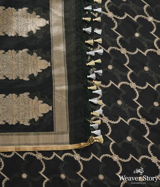 Handwoven Green Kora Silk Jaal Dupatta