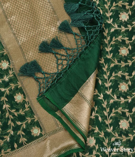 Handwoven Green Organza Meenakari Jaal Dupatta