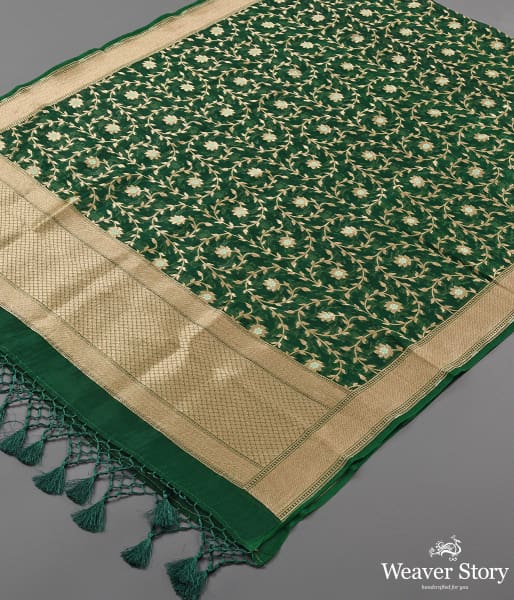 Handwoven Green Organza Meenakari Jaal Dupatta