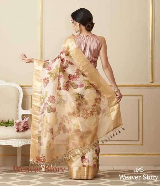 Handwoven Printed Organza Saree