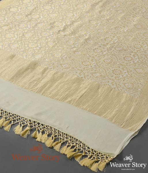 Handwoven Pale Green Sona Rupa Zari Banarasi Georgette Dupatta