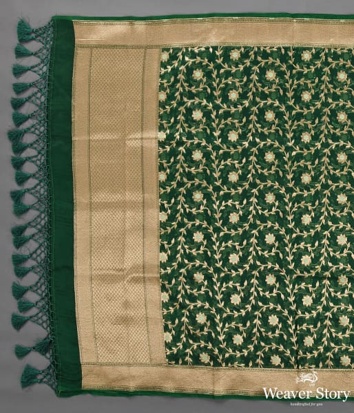 Handwoven Green Organza Meenakari Jaal Dupatta