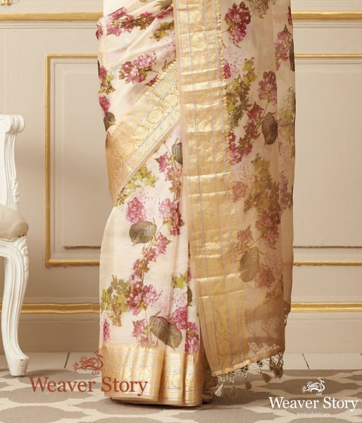 Handwoven Printed Organza Saree