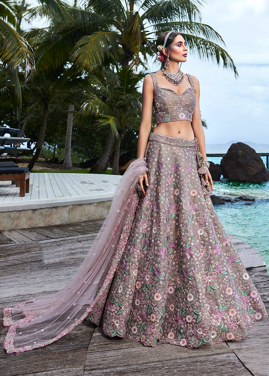 Saddle Brown Net Lehenga Choli with Sequins,Coding,Moti & Zarkan work