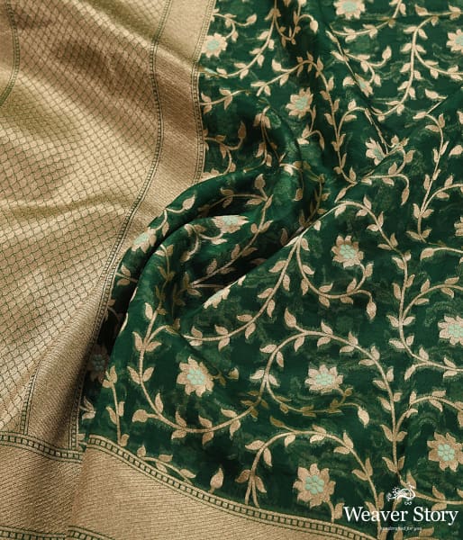 Handwoven Green Organza Meenakari Jaal Dupatta
