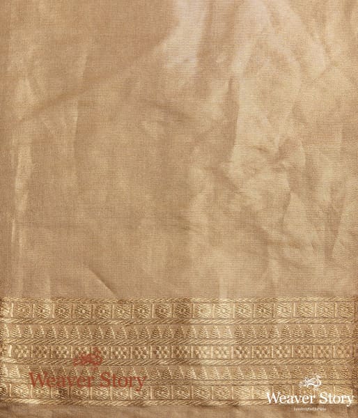 Handwoven Pista Green Pashmina Saree