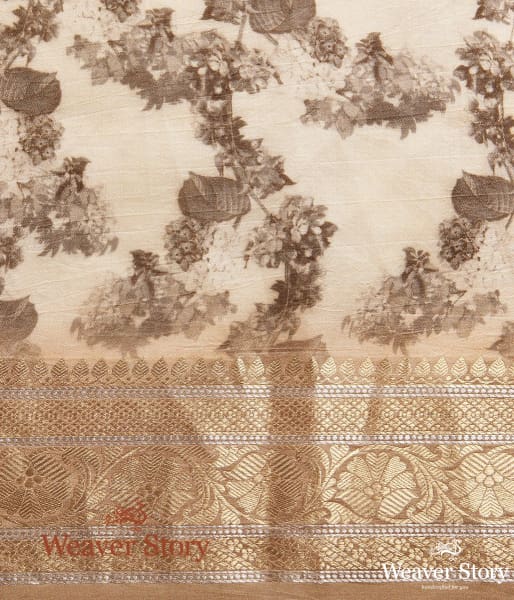 Handwoven Printed Organza Saree