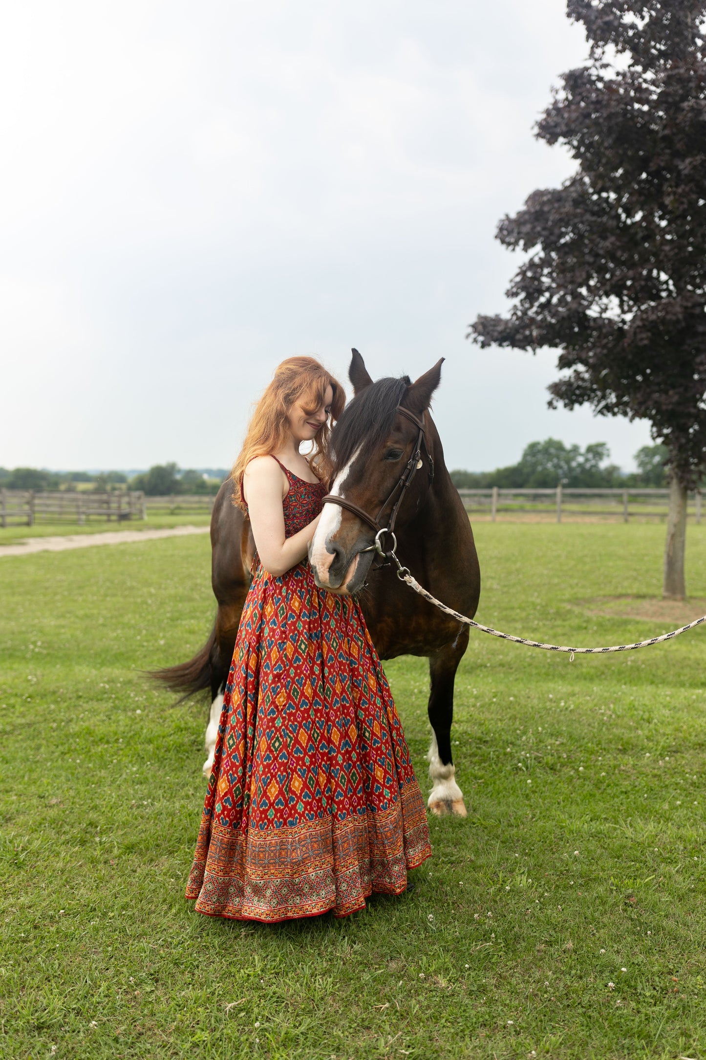 Louisa Red Dress with Patola Print
