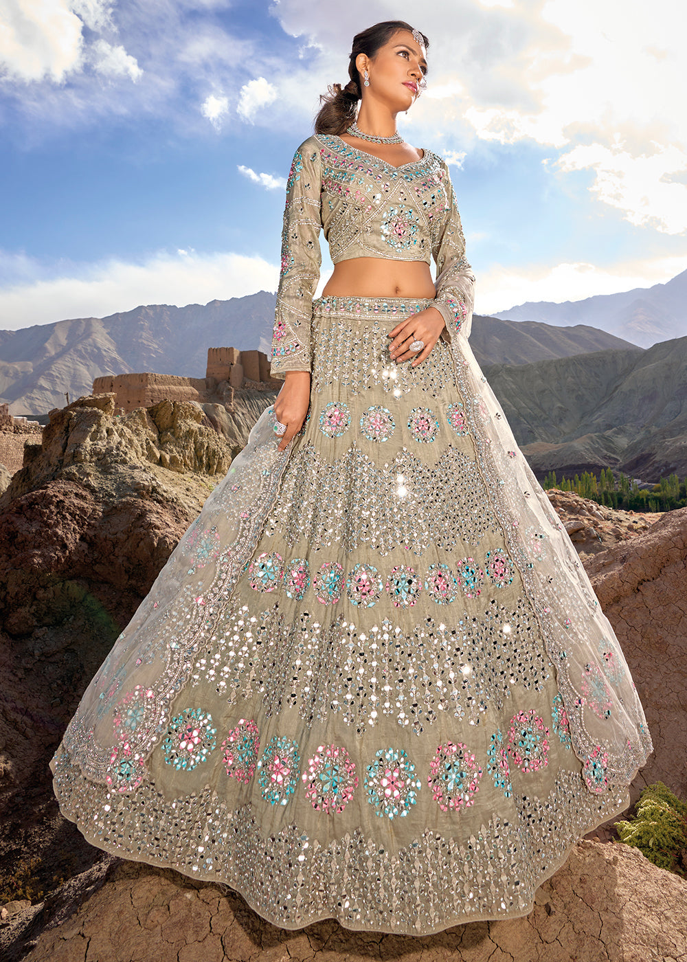 Tan Brown Organza lehenga Choli with Mirror,Zarkan & Cutwork