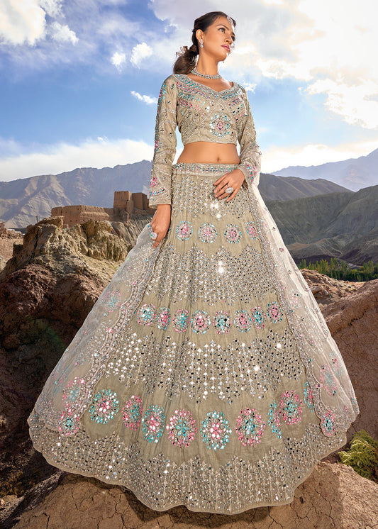 Tan Brown Organza lehenga Choli with Mirror,Zarkan & Cutwork