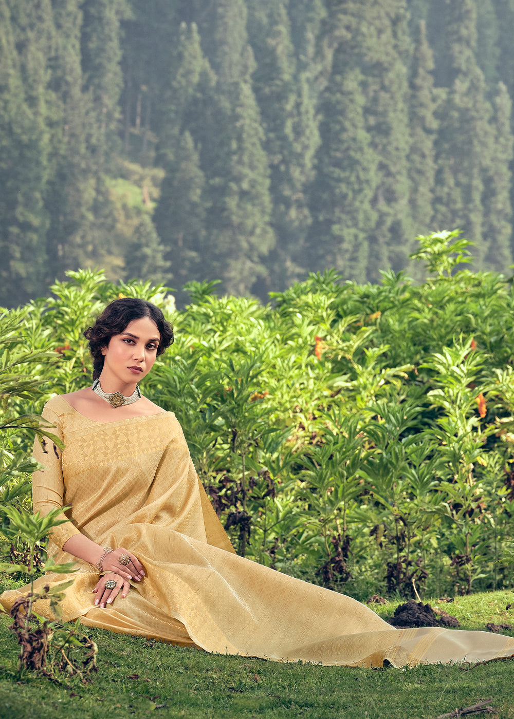 Beige Golden Zari Woven Tissue Silk Saree