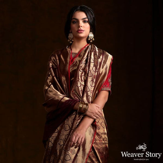 Chocolate brown kimkhab saree woven with bronze zari and mynah motifs