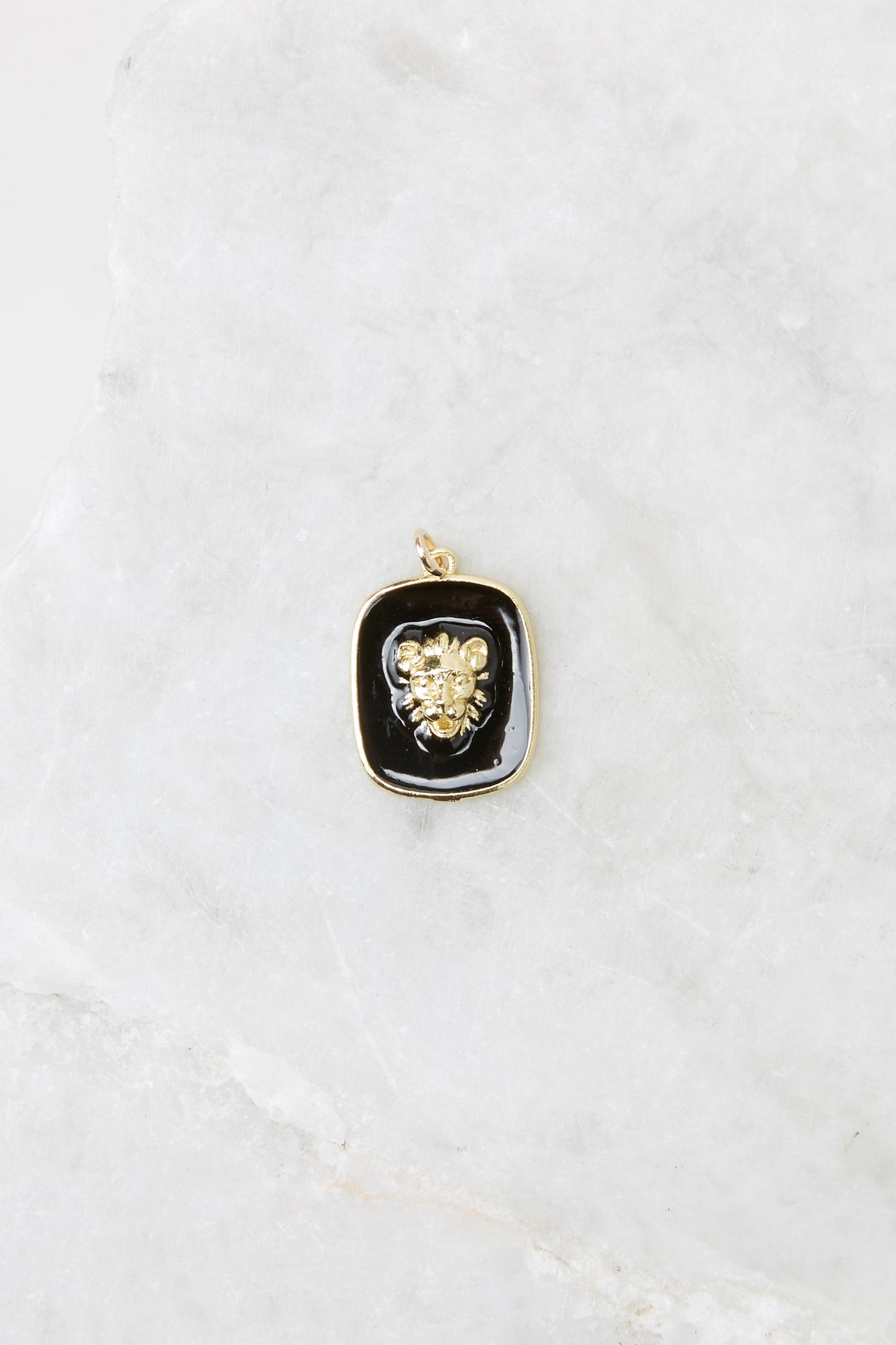 Take A Moment Gold Framed Lion Head Pin Charm Set