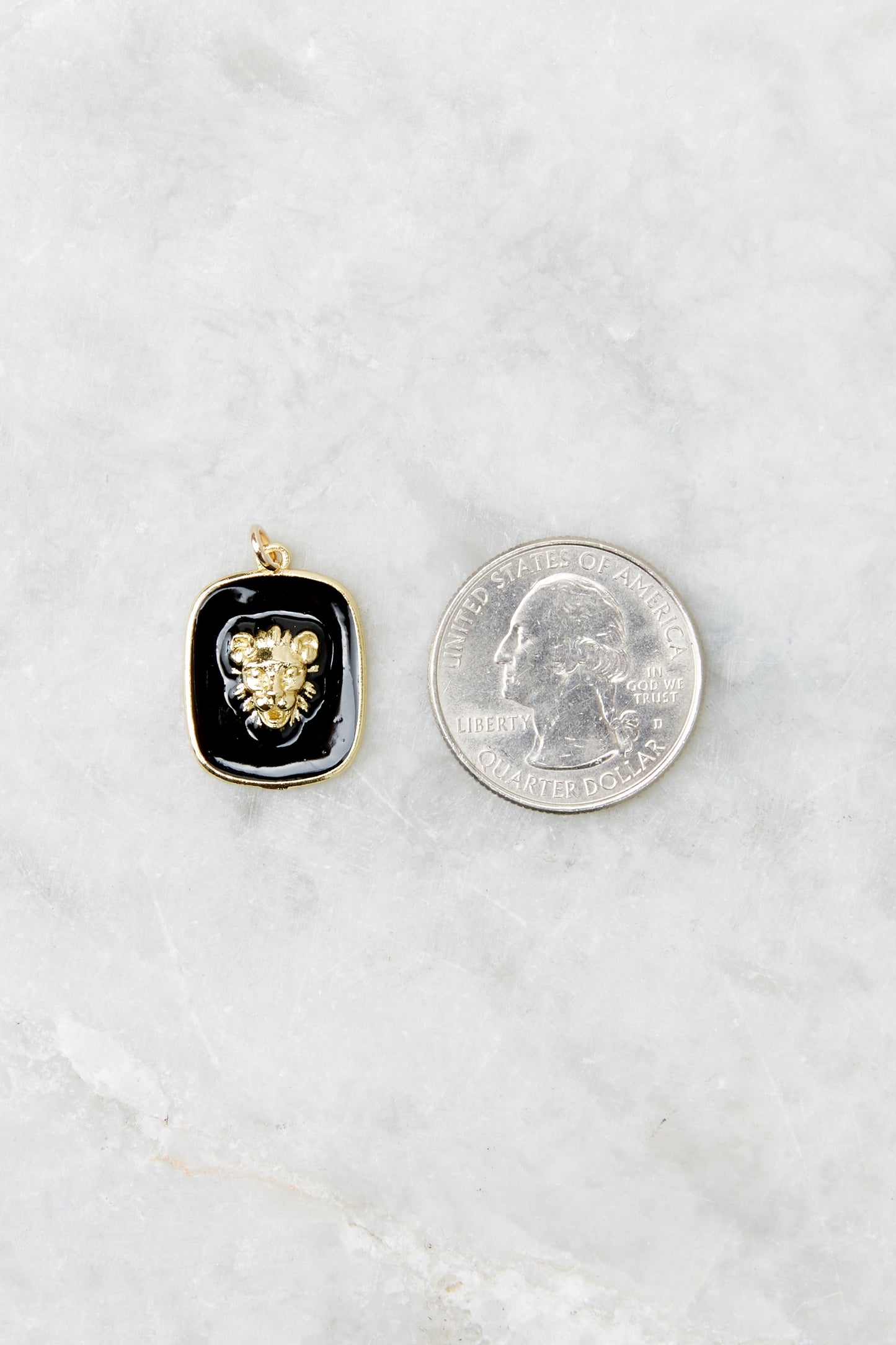 Take A Moment Gold Framed Lion Head Pin Charm Set