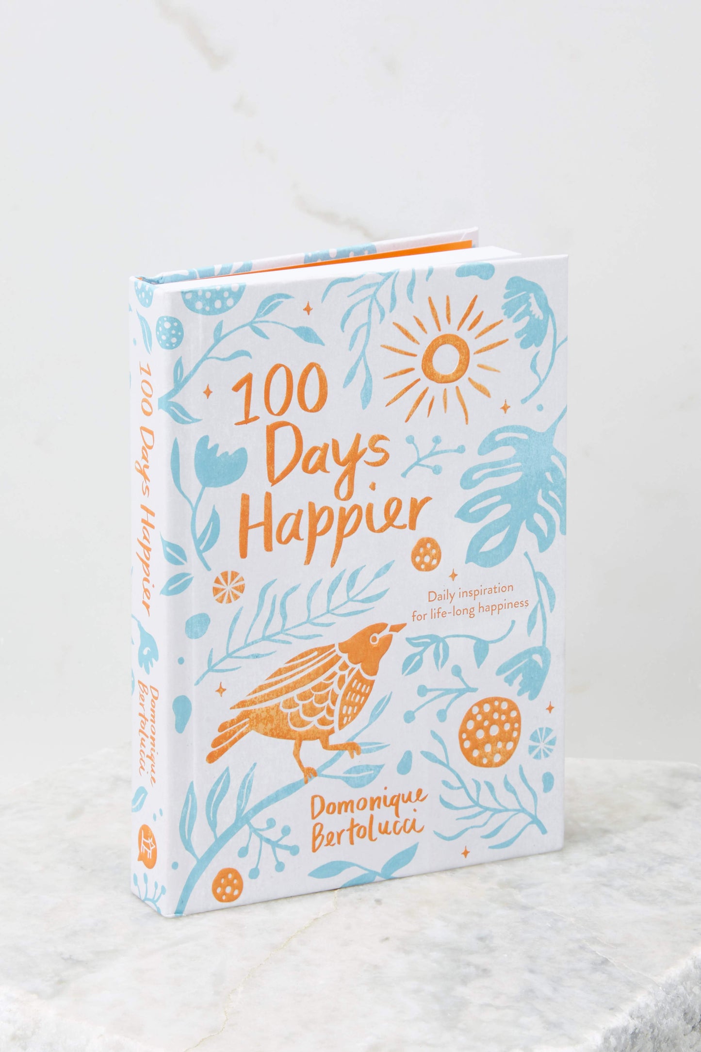 100 Days Happier Inspirational Book