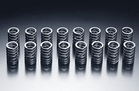 HKS 1991-2000 Nissan Infiniti G20 SR20DET Outer Valve Spring Set (hks22001-AN002)