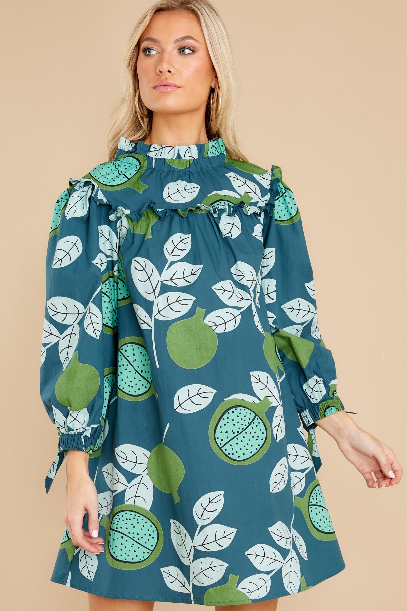 Emma Pomegranate Dress