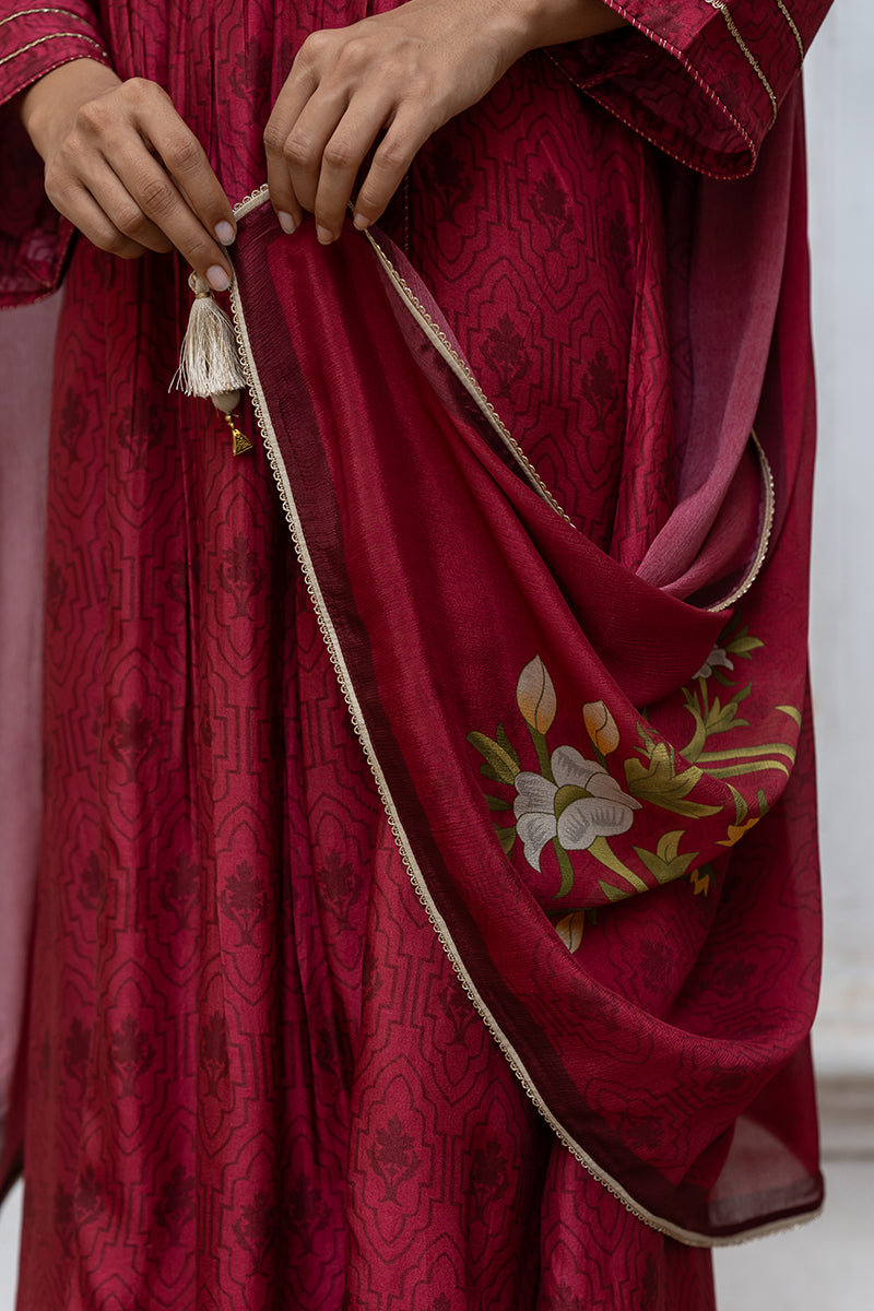 Wine Raw Silk Printed and Hand Detailed Festive Salwar Suit