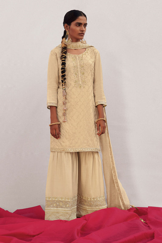 Beautiful Beige Habutai Silk Heavy Embroidered Suit with Embroidered Organza Dupatta