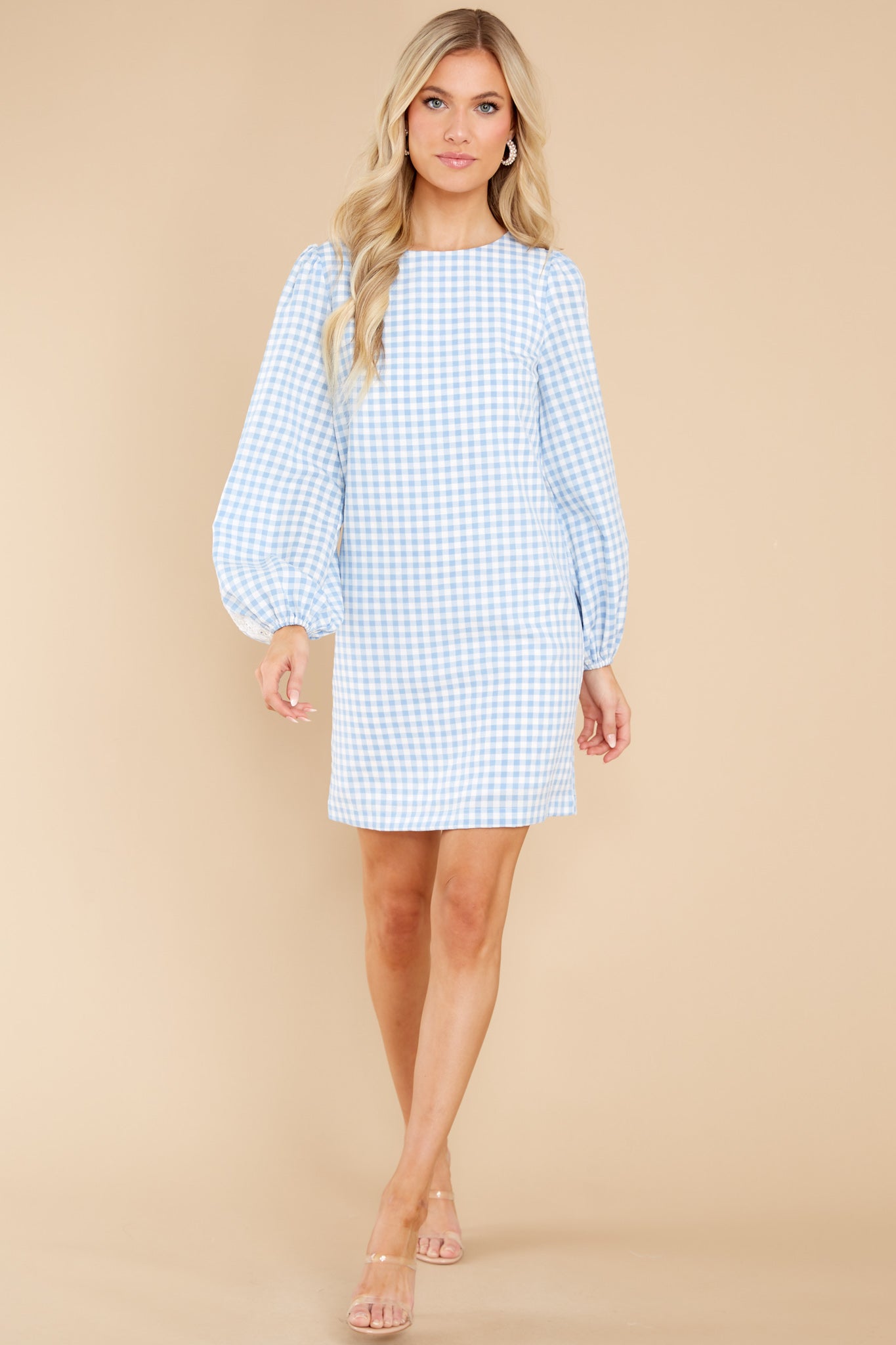 Carefreely Content Blue Gingham Dress