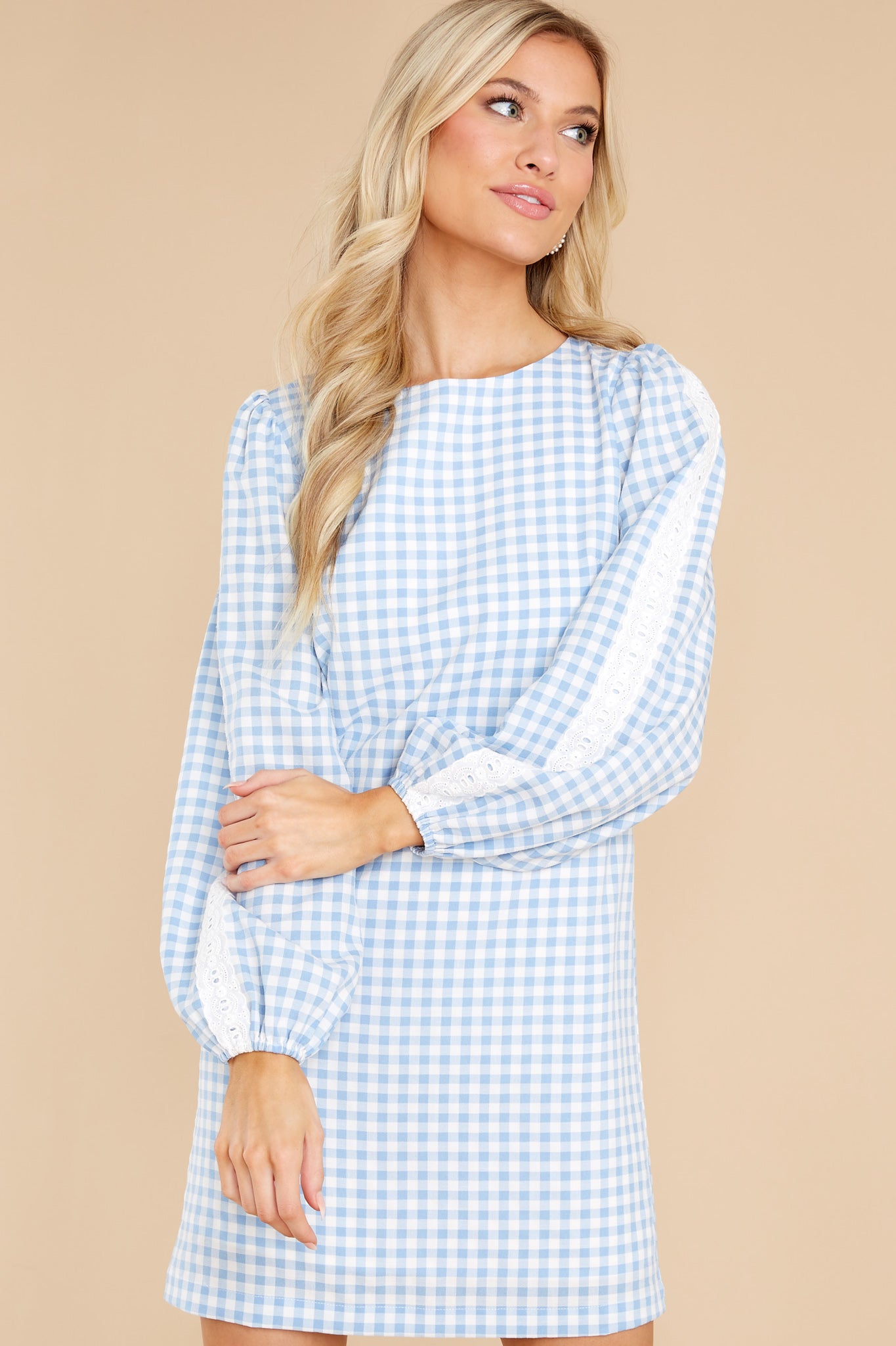 Carefreely Content Blue Gingham Dress