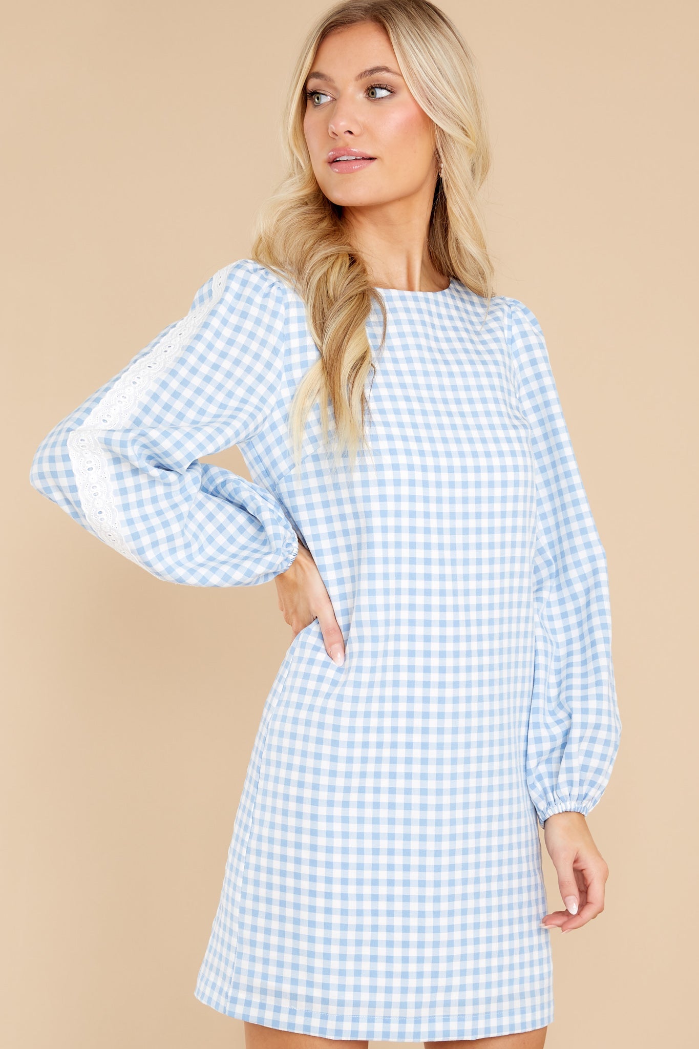 Carefreely Content Blue Gingham Dress