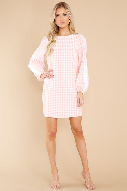 Carefreely Content Pink Gingham Mini Dress