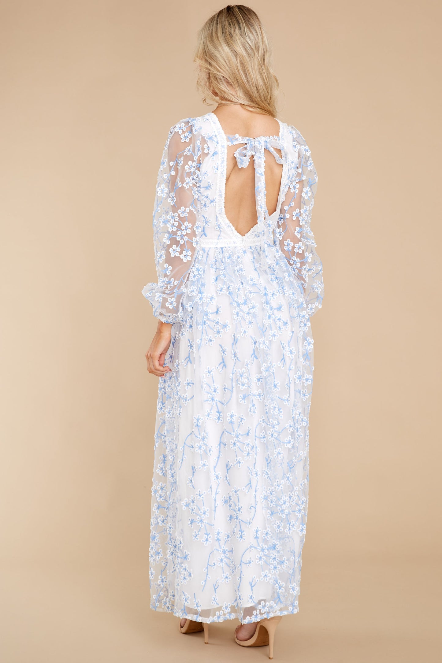 Heavenly Sights Blue And White Floral Embroidered Maxi Dress