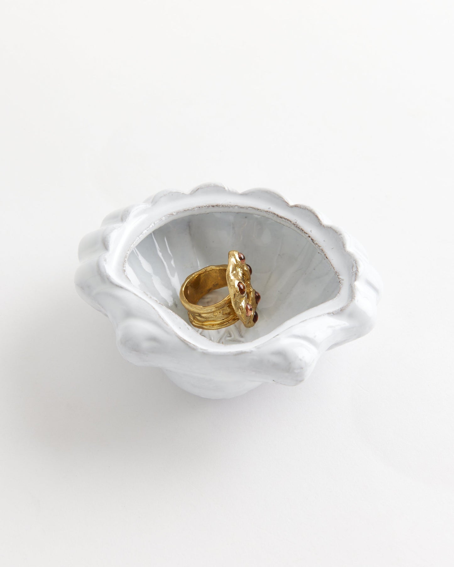 Shell Box