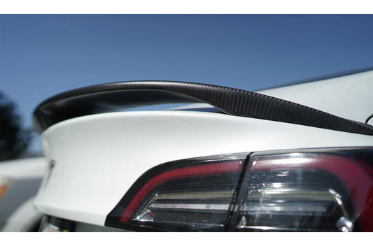 MXP 2012+ Tesla Model S | 2017+ Tesla Model 3 Wet Carbon Trunk Spoiler (mxpMCPTS-1W)
