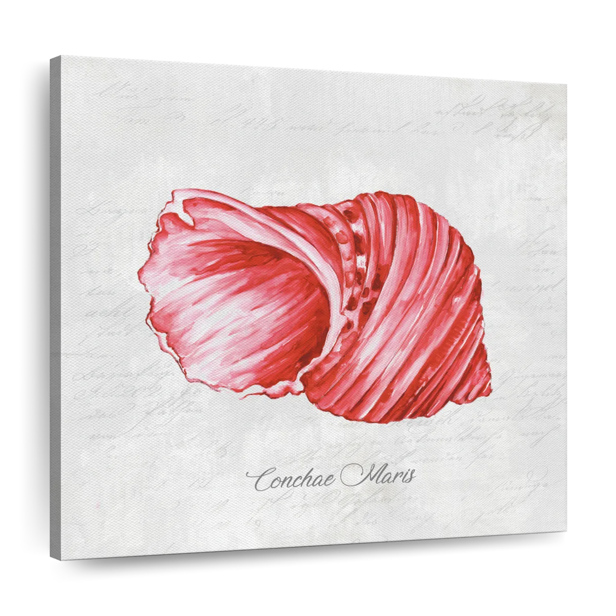 Red Seashell Wall Art