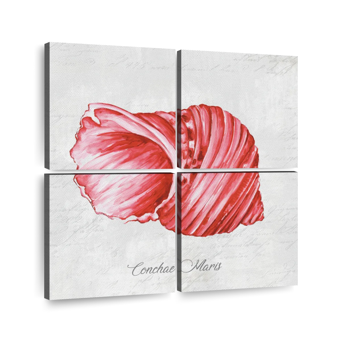 Red Seashell Wall Art