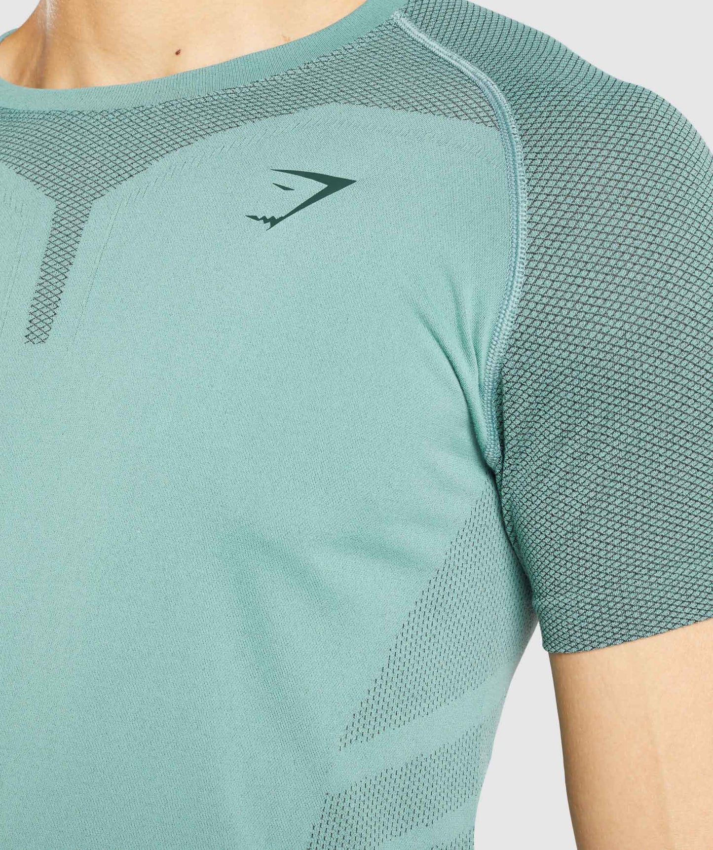 Gymshark 315 T-Shirt - Light Green/Dark Green