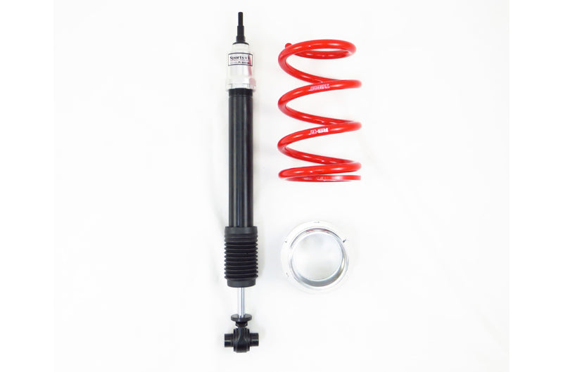RS-R 17+ Tesla Model 3 (RWD) (ZVW30) | Sports-i Coilovers (rsrXBITL001M)