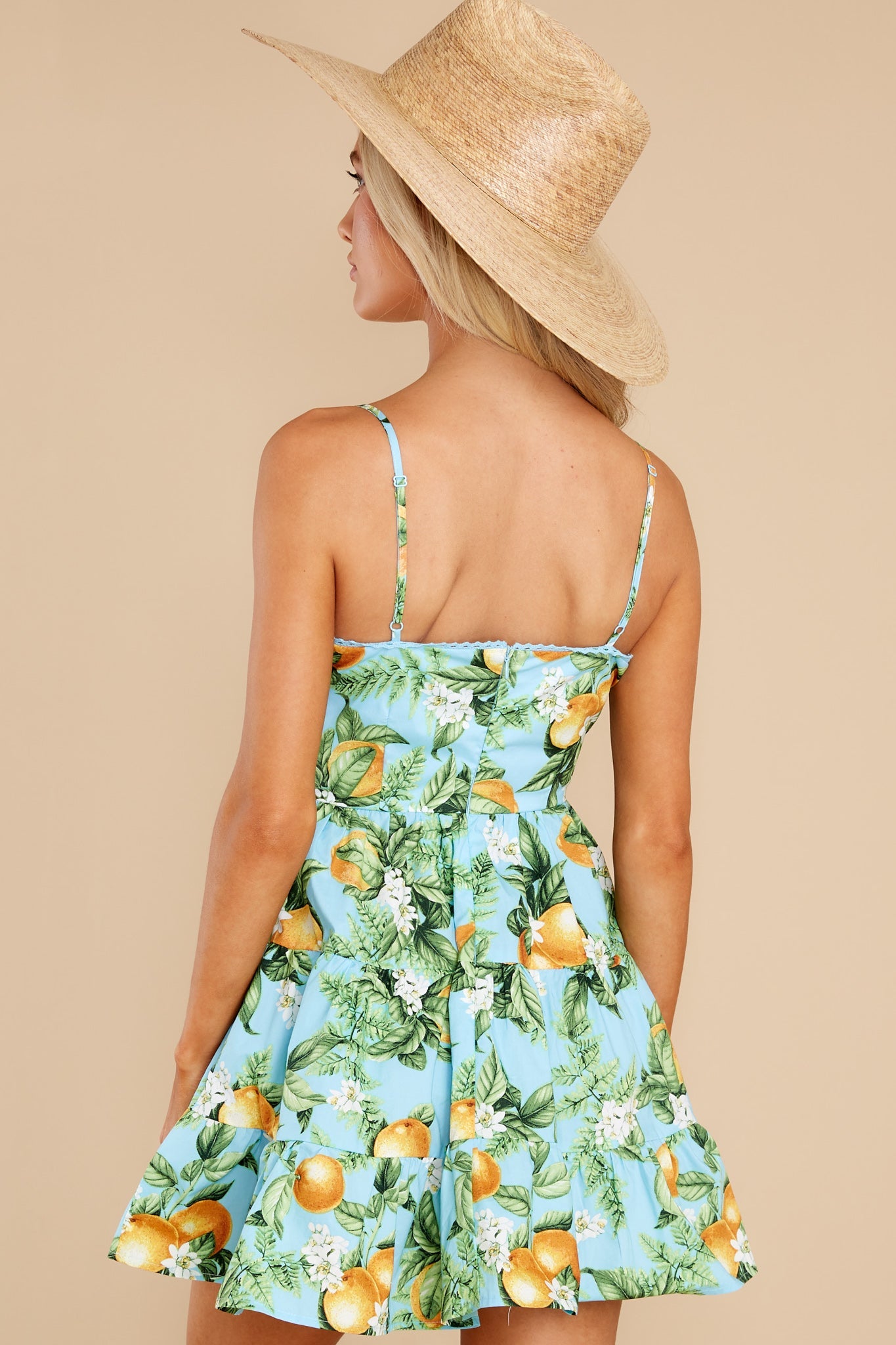 Summer Orchard Sky Blue Dress