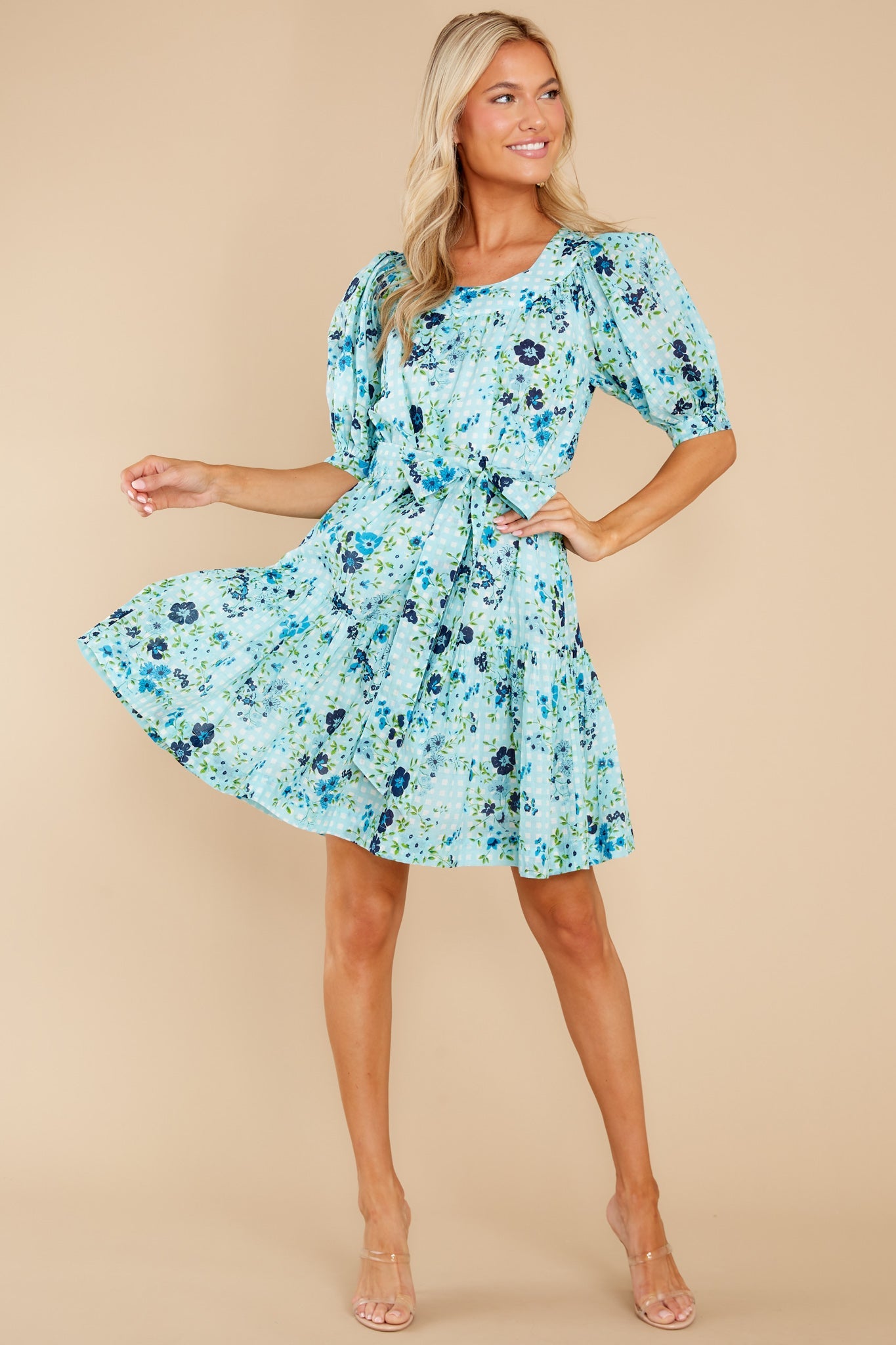 Anna English Garden Baby Blue Dress