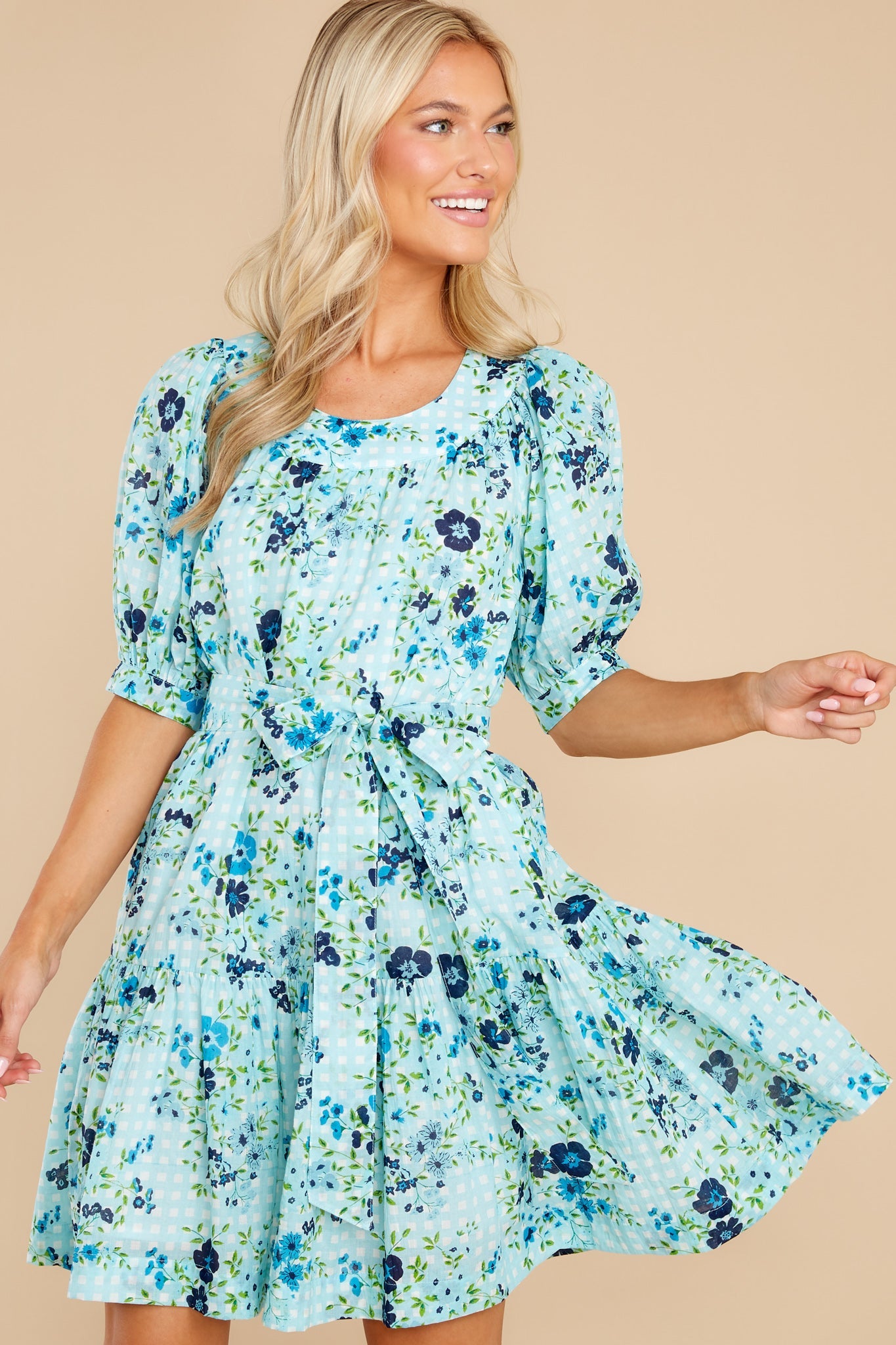Anna English Garden Baby Blue Dress