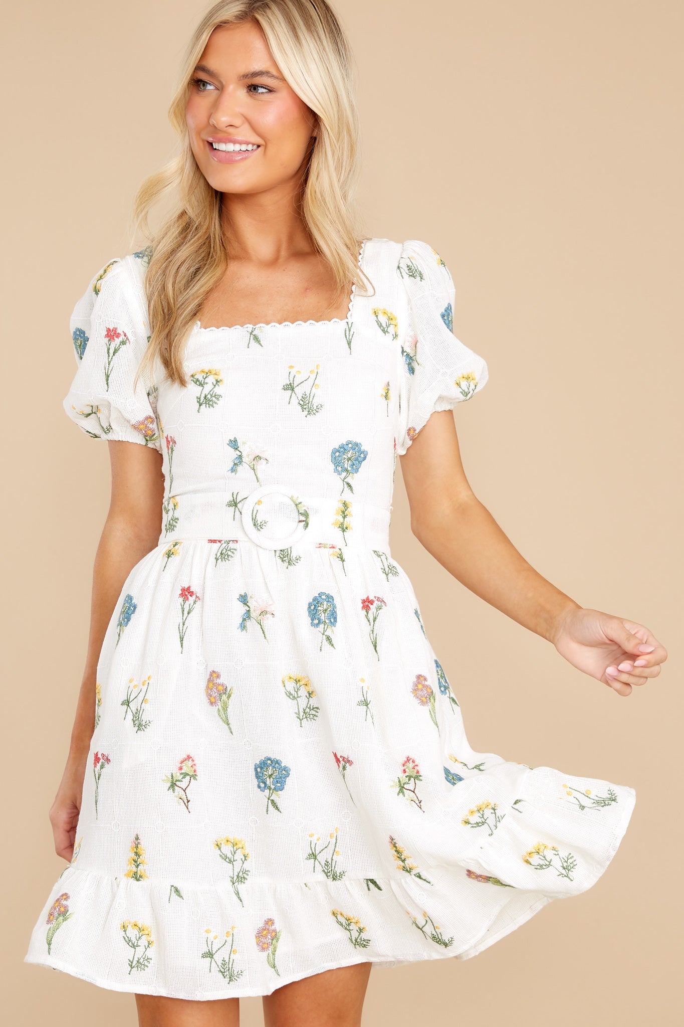 Misha Embroidered Puff Sleeve Dress