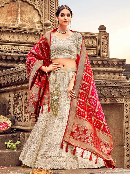 Light Brown Georgette Lehenga Choli Having Lucknowi work and Banarasi Dupatta