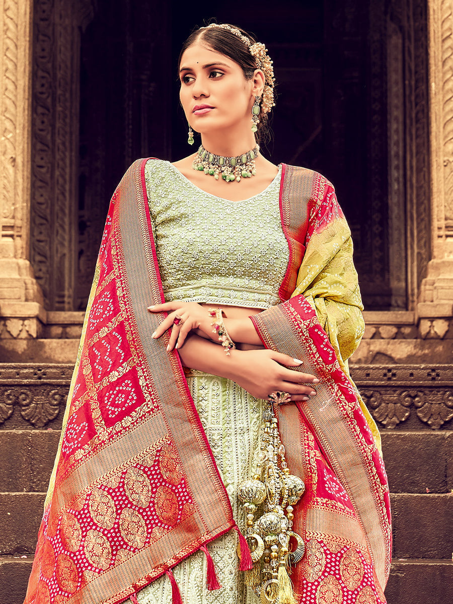 Light Green Georgette Lehenga Choli Having Lucknowi work and Banarasi Dupatta