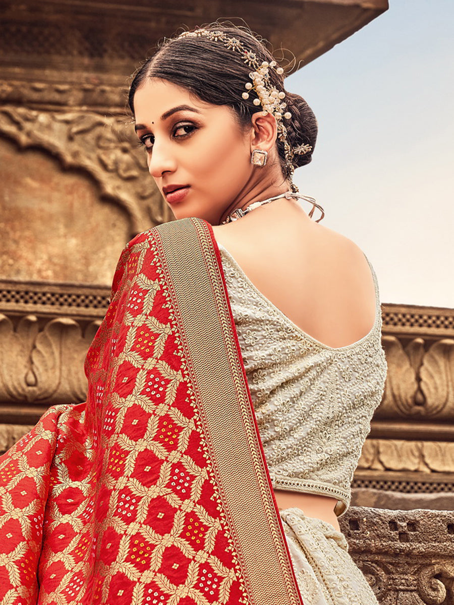 Light Grey Georgette Lehenga Choli Having Lucknowi work and Banarasi Dupatta