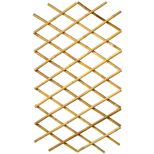 Garten-Rankgitter 100x200 cm Bambus 6040722