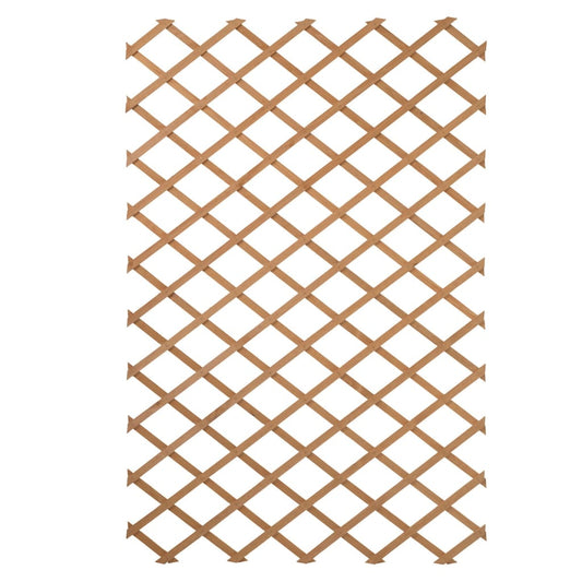 Garten-Rankgitter 100x200 cm Holz Natur 6041703