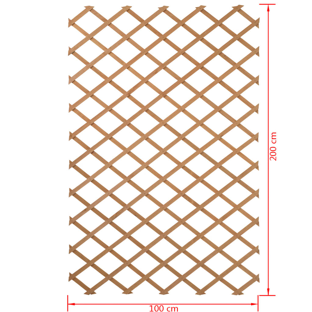 Garten-Rankgitter 100x200 cm Holz Natur 6041703